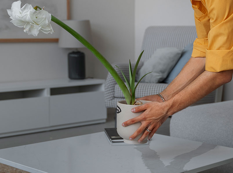 Foto na forma orgânica